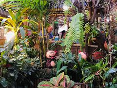 -Jungle Kitchen
