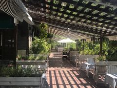 -Local泰莲庭(虹鳟鱼店)