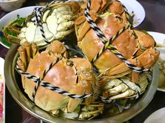 -七宝蔬菜农副产品综合交易市场-停车场