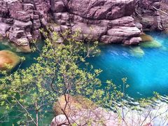 android_upload_pic-云台山风景名胜区