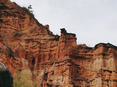 -元谋土林景区(物茂土林)