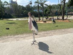 -石家庄市动物园