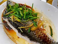 -金豪沙姜鸡饭店(昌平路店)