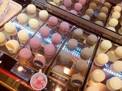 -西树泡芙(北京金源2店)