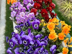 -上海交通大学医学院附属仁济医院(南院)