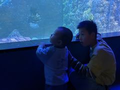 -嘉兴海底世界