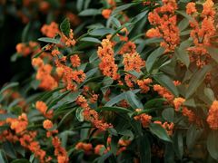 -长辛店二七公园