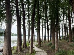 -长广溪湿地公园