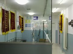 -中农大我爱我爱24h动物医院·中医针灸·猫专科·骨科医疗中心(双井店)