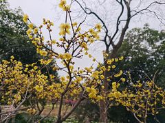 -无锡梅园公园