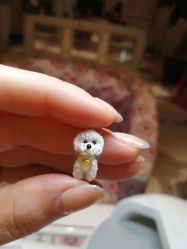 -孔雀手美甲美睫护理