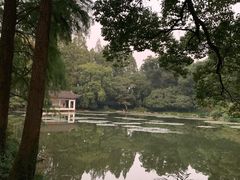 -山外山菜馆(玉泉路店)