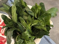 菜心-喜聚薈·花膠雞海鮮火鍋(越秀店)