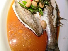 葱椒鲈鱼-绿茶餐厅(同成街华联店)