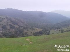 -大姆山草场