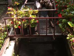 -老洋房花园饭店(绍兴路店)