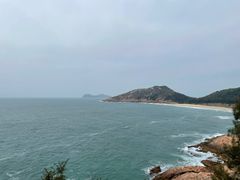 -广东惠东海龟国家级自然保护区
