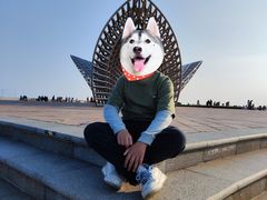 -南汇嘴观海公园