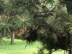 景点-长春公园(普阳街道)