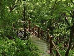 -大岭沟猕猴桃谷风景区