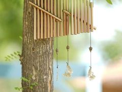 -Walker萌宠露营(大明骑士驿站店)