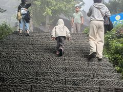-长兴太湖图影湿地文化园