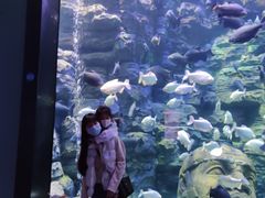 -成都浩海立方海洋公园