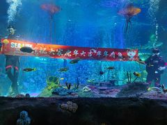 -沈阳海洋探索中心