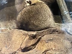 -波塞冬海底世界