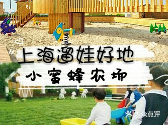 上海夏日遛娃必去宝藏地小蜜蜂农场