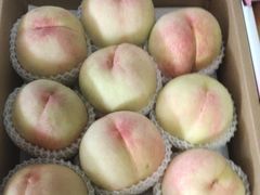 -南汇新场正宗水蜜桃采摘