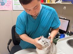 -宠颐生美多格动物医院骨科·影像科新北转诊中心(汉江路店)