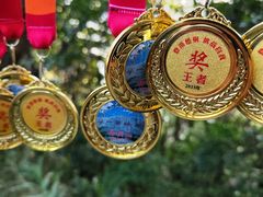 -梧桐山风景名胜区