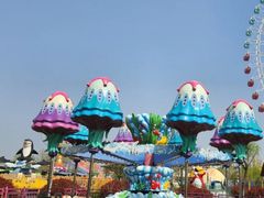 -凤凰欢乐大世界