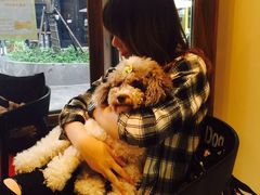-Oh My Dog宠物沙龙(伊珊娜皮毛护理店)