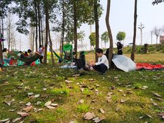 -中国天府农业博览园