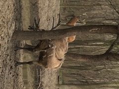 iphone_upload_pic-溱湖国家湿地公园