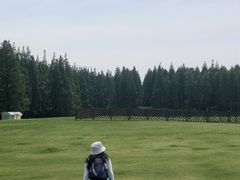 -黄海国家森林公园