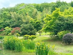 -南京珍珠泉风景区