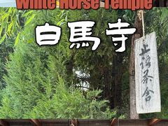 -洛阳白马寺