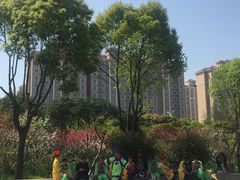 -南汇桃花村