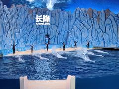 -珠海长隆海洋王国