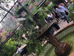 -The Grounds of Alexandria