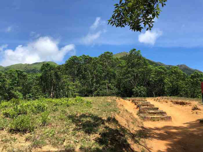 大屿山郊野公园-"#亲近大自然# 大屿山郊野公园是适合行.