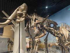 -国家自然博物馆