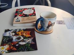 -喵的天空名猫咖啡馆·撸猫·猫舍·用品