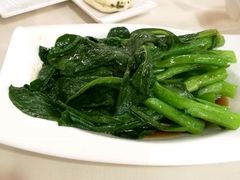 青菜心-市民中心-餐厅