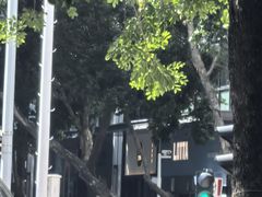 -LOTTA COFFEE(安居博文苑店)