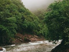 -白云源风景区
