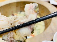 鮰鱼-云中鱼蒸汽石锅鱼(川沙百联店)
